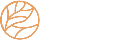 Vilao Logo